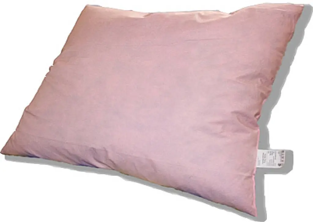 Кровати металлические в интернаты и детские дома