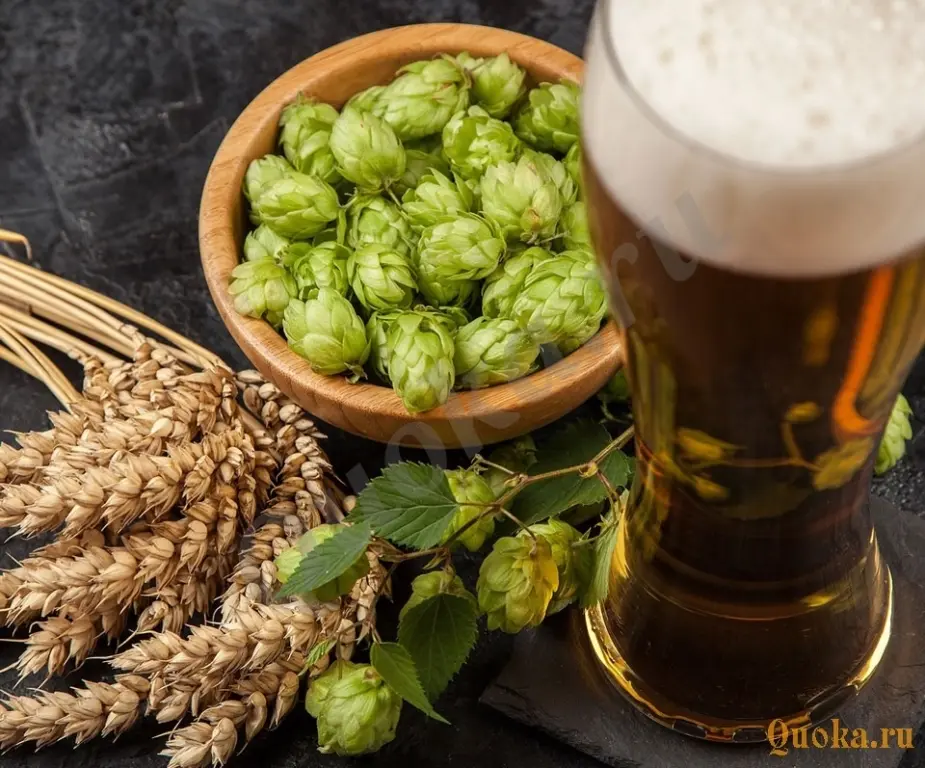 Ваш надежный поставщик пива и кваса в кегах Ваш надежный поставщик пива и кваса в кегах