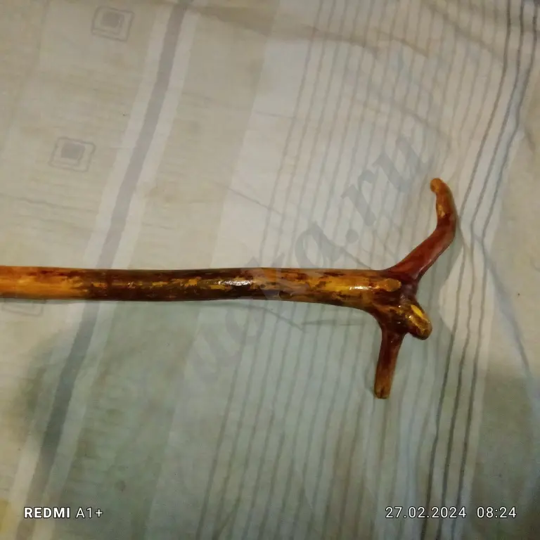 Трость-раритет дерово Трость-раритет дерово