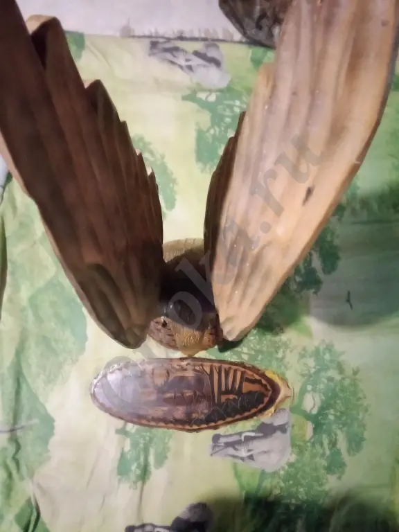 Птичка олень дерево